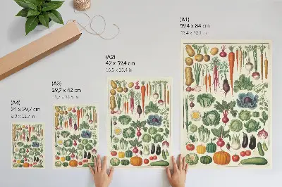 Vegetables of various kinds and colors art poster