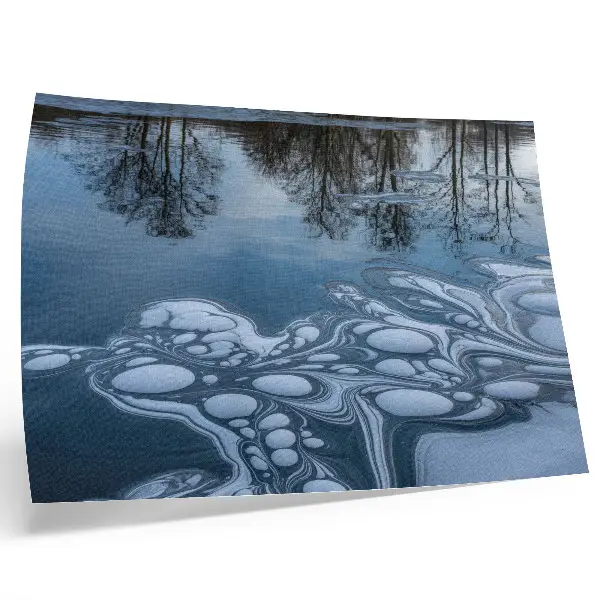 Decorative canvas print ice on the lake with reflections of trees in blue tones