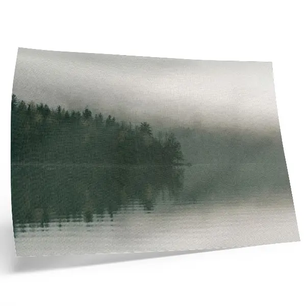 Foggy forest landscape by the lake poster
