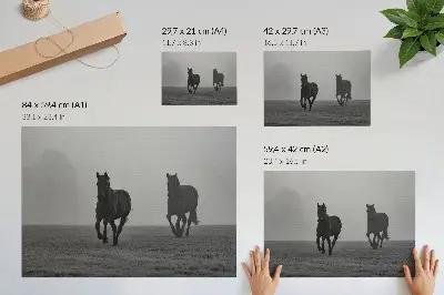 Decorative canvas print horses running in gentle fog through a peaceful space