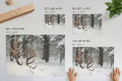 Photo canvas antlers in a snowy winter forest