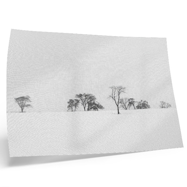 Poster Minimalist scenery winter trees peace