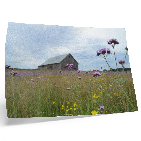 Poster Country barn purple and yellow flowers meadow