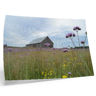 Poster Country barn purple and yellow flowers meadow