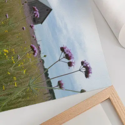 Poster country barn surrounded by purple and yellow meadow flowers