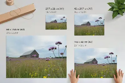 Poster country barn surrounded by purple and yellow meadow flowers