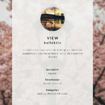 Photo canvas Sunset over the calm sea, boat movement