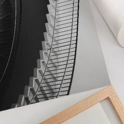 Photo canvas featuring black and white modern artistic forms