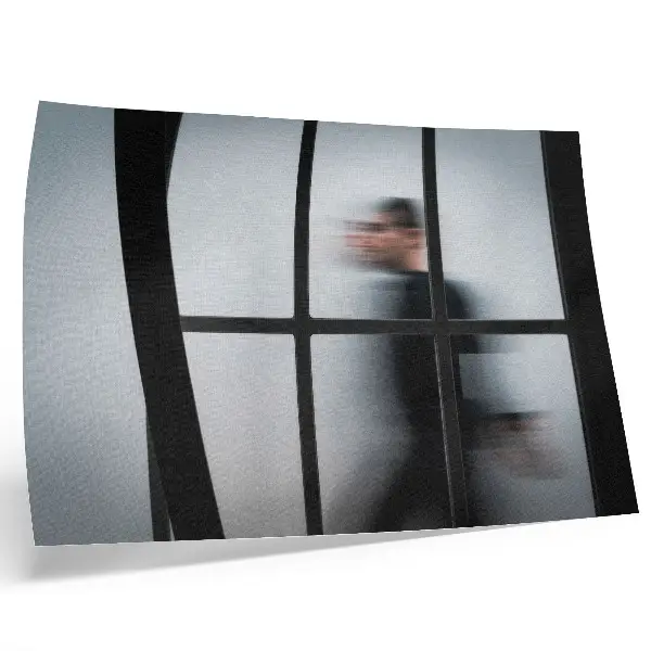 Decorative canvas print black silhouette behind a glass frame in gray minimalist style