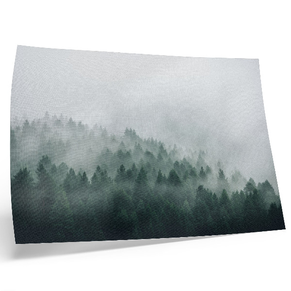 Poster Misty forests exuding peace and mystery