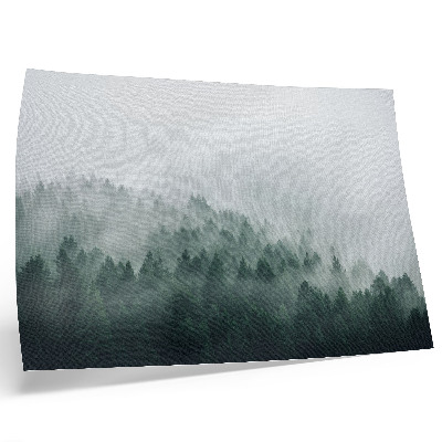 Poster Misty forests exuding peace and mystery