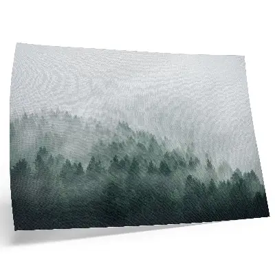Misty forests exuding peace and mystery poster