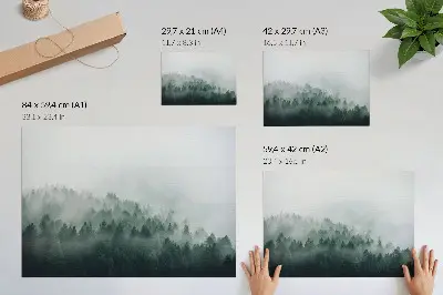 Misty forests exuding peace and mystery poster