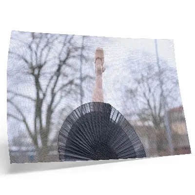 Decorative canvas print ballet, subtlety, harmony, and local atmosphere
