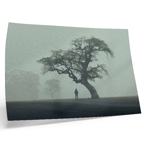 Photo canvas Lonely tree fog dark silhouette atmosphere