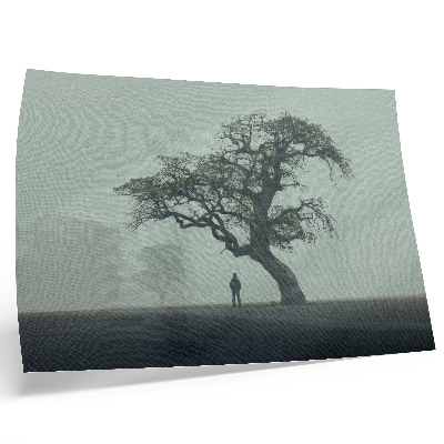Photo canvas Lonely tree fog dark silhouette atmosphere
