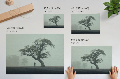 Photo canvas Lonely tree fog dark silhouette atmosphere
