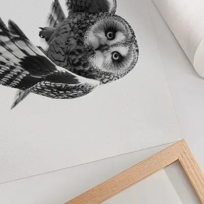 Owl in flight poster a portrait with unique elegance and a peaceful atmosphere