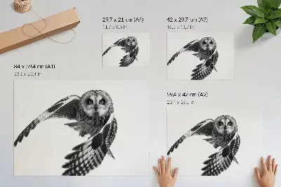 Owl in flight poster a portrait with unique elegance and a peaceful atmosphere