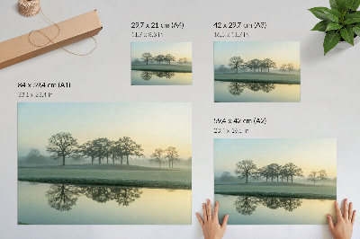 Photo canvas Calm water surface, reflection of trees, soft fog