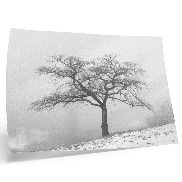 Decorative canvas print lonely tree in a minimalist winter landscape