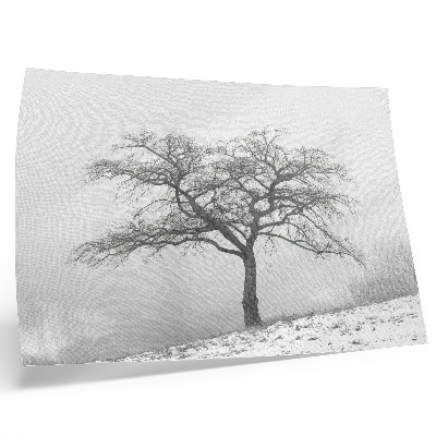Decorative canvas print Lonely tree winter peace minimalism harmony