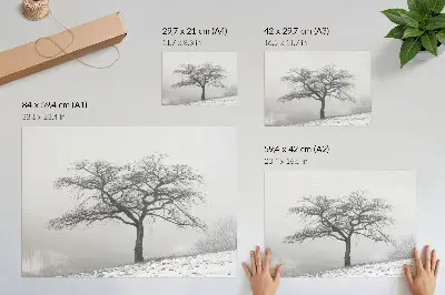 Decorative canvas print lonely tree in a minimalist winter landscape