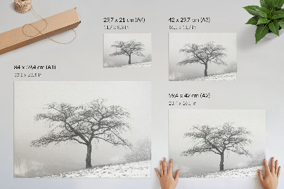 Decorative canvas print Lonely tree winter peace minimalism harmony
