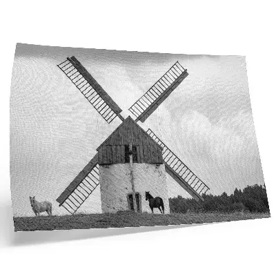Decorative canvas print featuring a black and white windmill in a field with horses