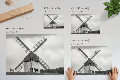 Decorative canvas print A black and white windmill in a field with horses