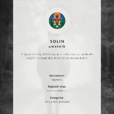 Poster a horse standing in a misty forest with ferns