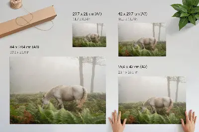 Poster a horse standing in a misty forest with ferns