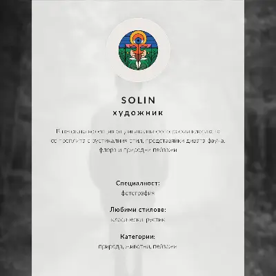 Poster a horse standing in a misty forest with ferns