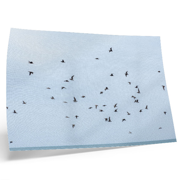 Decorative canvas print A flock of birds over the blue sea