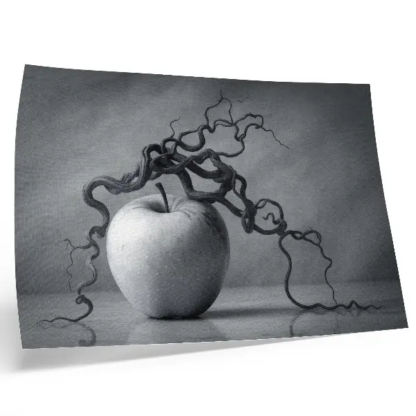 Photo canvas the contrast of the apple and the branch in a harmonious monochromatic style
