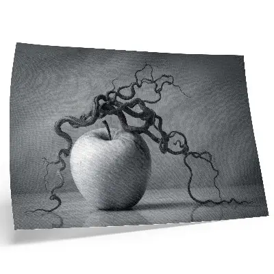 Photo canvas the contrast of the apple and the branch in a harmonious monochromatic style