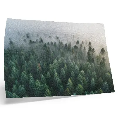 Green forest in the fog poster atmospheric and mysterious