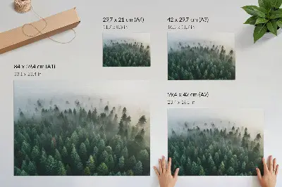 Green forest in the fog poster atmospheric and mysterious