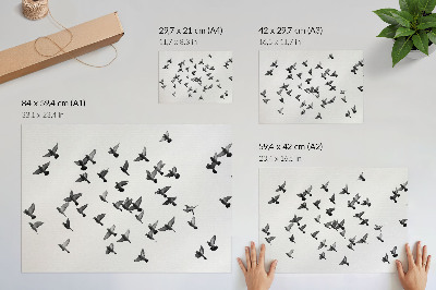 Poster Birds in Flight Elegant Black and White Harmonies