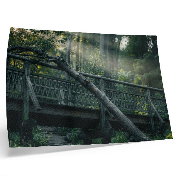 Poster A wooden bridge among greenery and sunlight