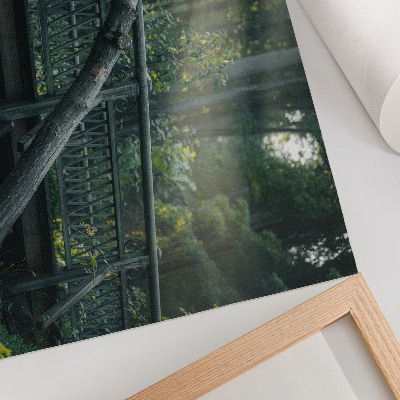 Poster A wooden bridge among greenery and sunlight