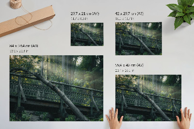 Poster A wooden bridge among greenery and sunlight
