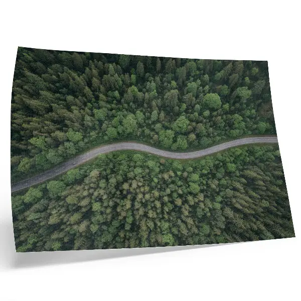 Green forest serpentine road poster peaceful atmosphere landscape print