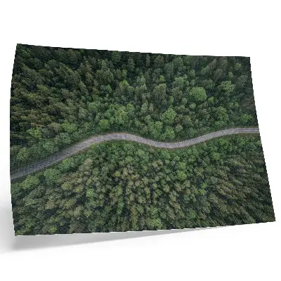 Green forest serpentine road poster peaceful atmosphere landscape print