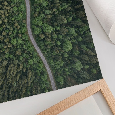 Poster Green forest serpentine road peaceful atmosphere