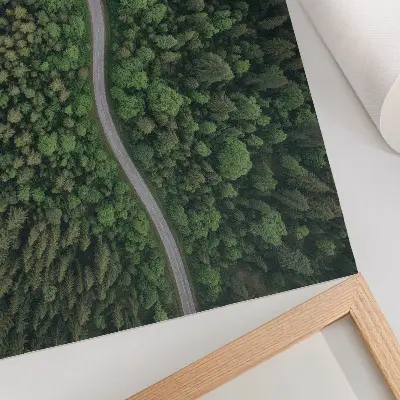 Green forest serpentine road poster peaceful atmosphere landscape print