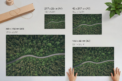 Poster Green forest serpentine road peaceful atmosphere