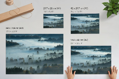 Decorative canvas print Green trees in the fog, peaceful atmosphere, subdued colors