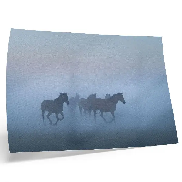 Horses in the Fog Poster a calming composition full of peace