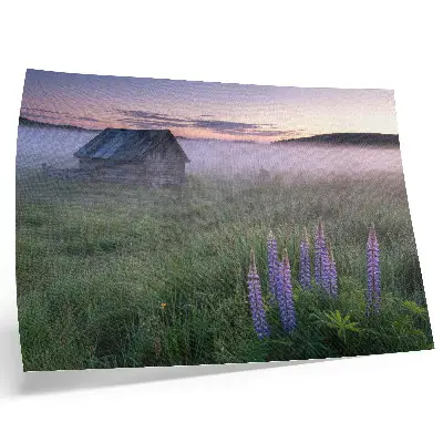 Decorative canvas print wooden cottage in a picturesque fog with nature and flowers
